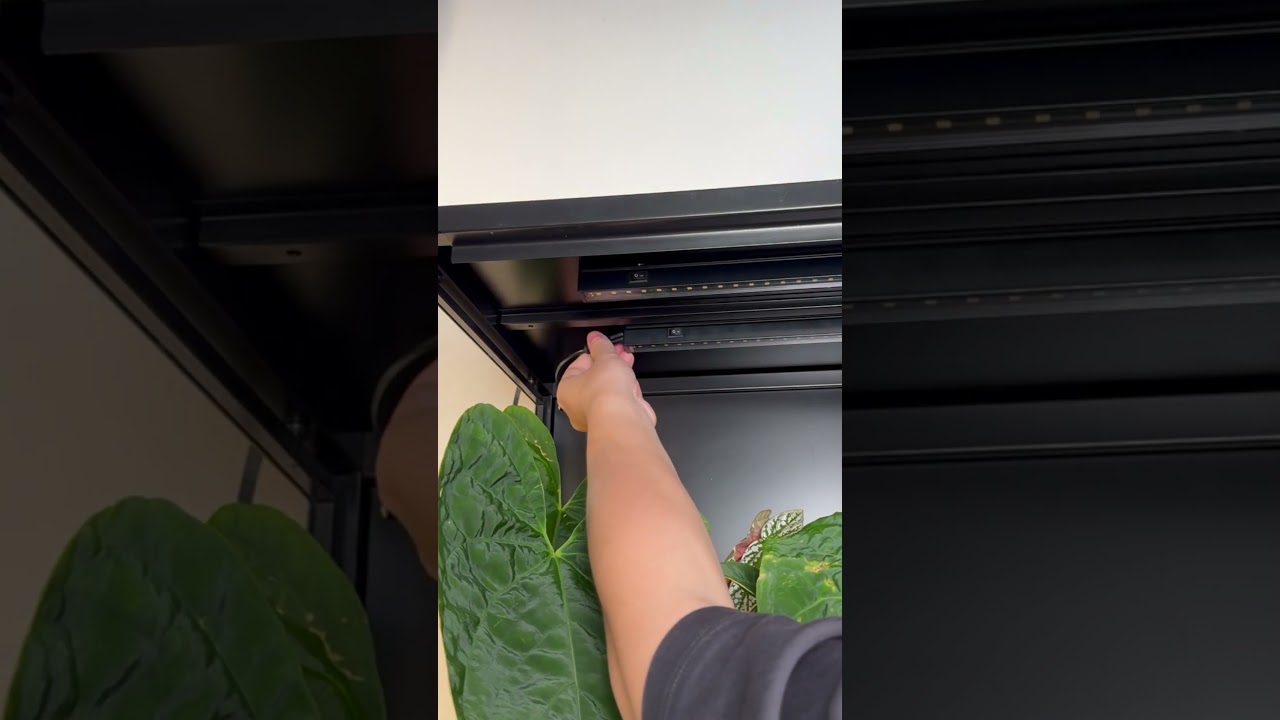 🌱 Barrina T5 Grow Light - Effortless Plant Care! 🌿