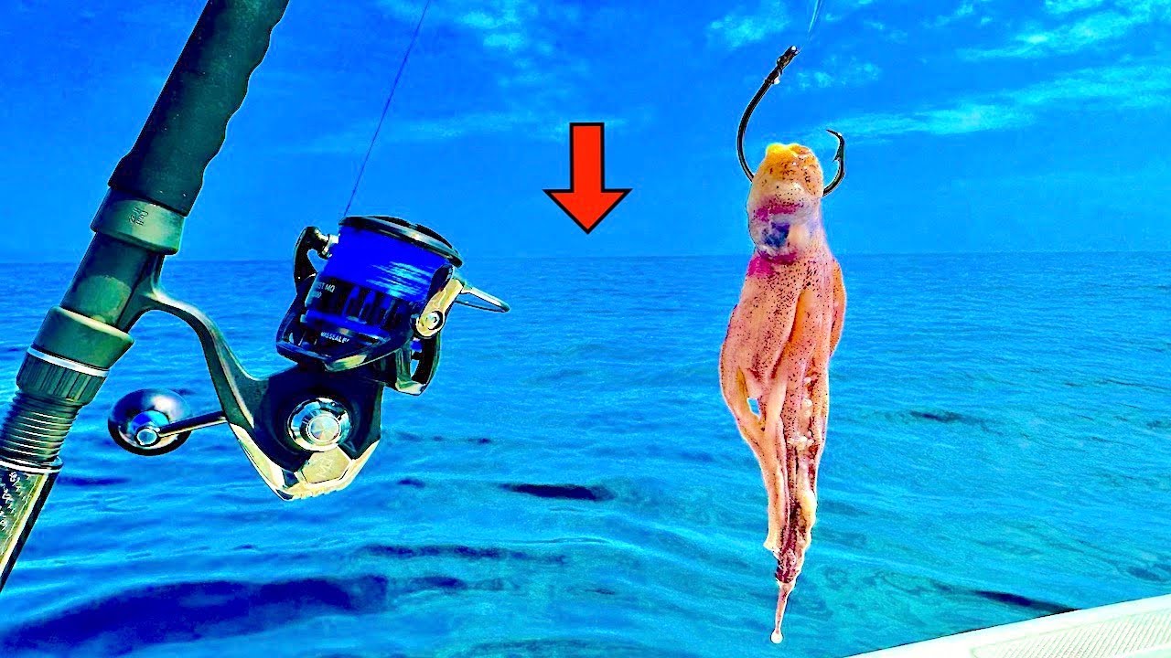 Ловлю кальмаров на глубине 100 футов! Пока не заболели руки!