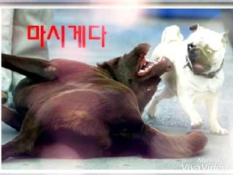 웃긴사진 모음