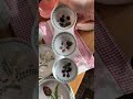 My little collection of dishes Botanical illustrations Life in a cottage