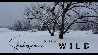 Twelfth Night Promo 2024
