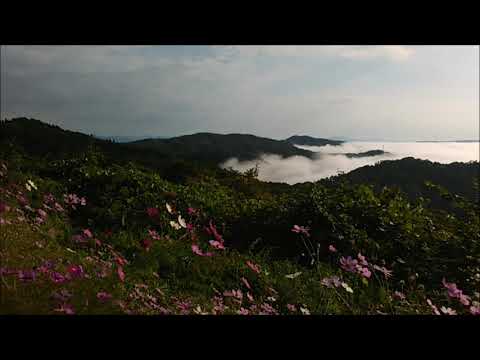 cloud sea 雲海。木山街道。2018 10 18