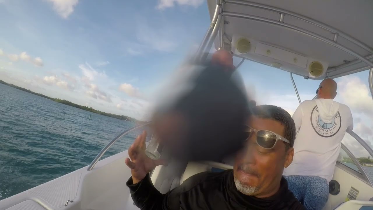 villa la mela junio 2023