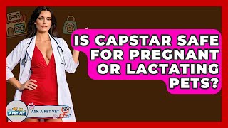 Is Capstar Safe For Pregnant Or Lactating Pets? - Ask A Pet Vet Is Capstar A Preventative Flea Treatment Ask A Pet Vet