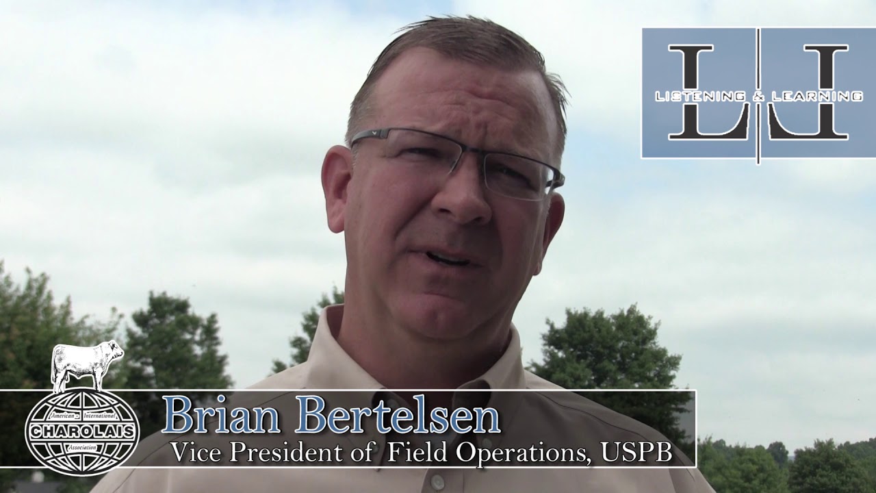 What Packers Want Seedstock Breeders to Know | Brian Bertelsen | AICA Listening & Learning