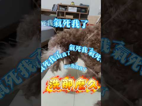 幾摳生氣的時候，很可怕的！
