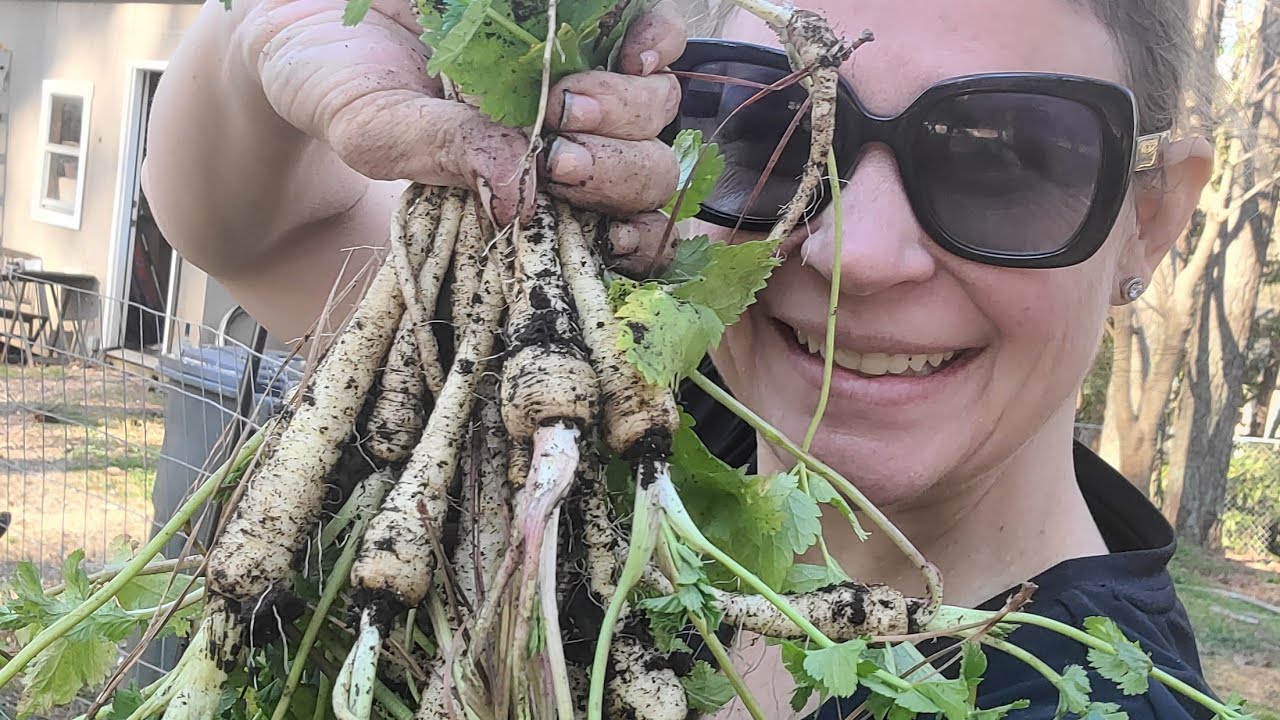 Zone 7b Garden / Pest Struggle is REAL / Broccoli Experiment /VLOG