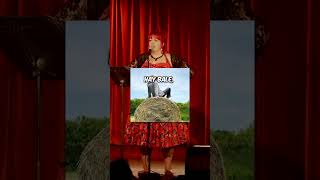 Interesting First Story