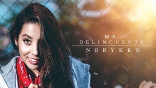 Mr. Delincuente - Norykko