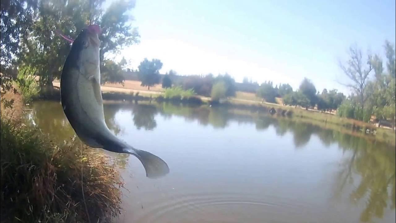 Fishing woodward park 4 YouTube