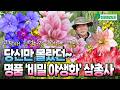 한파에도 끄떡없는 겨울정원 명품 '비밀 야생화' 3종 추천! 공작새처럼 화려한 겹꽃 아마릴리스, 밥티시아, 빈카까지~ 쑥쑥 잘 자라는 키우기 쉬운 예쁜 꽃 Mp3 Song