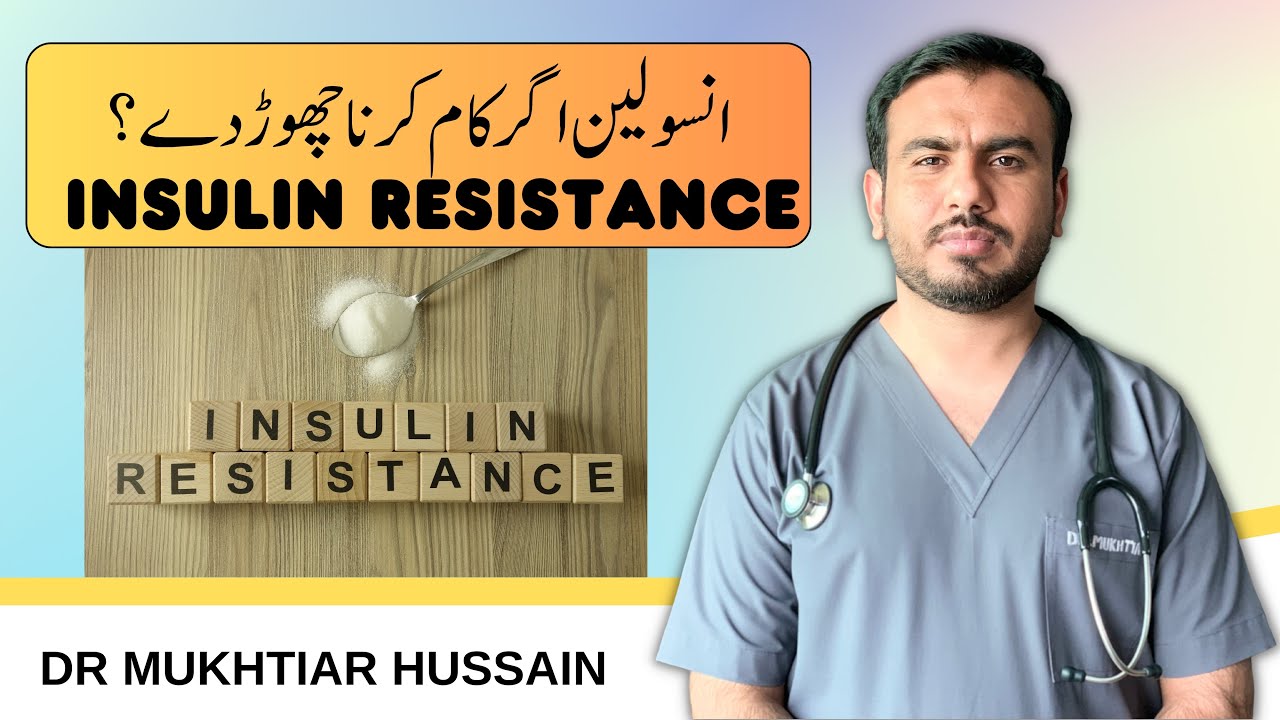 Explaining Insulin Resistance In Details (Urdu) - YouTube