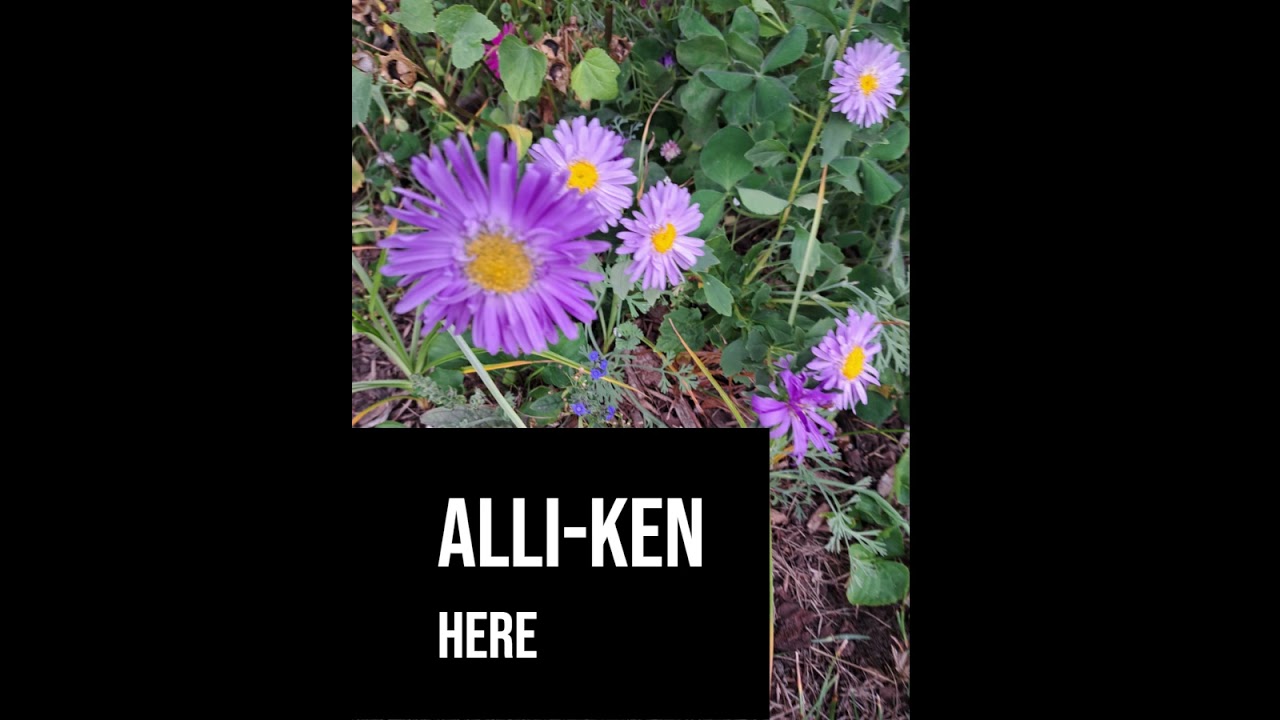 Watch Alli-Ken on YouTube Watch Alli-Ken on YouTube