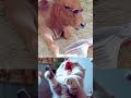 Funny Animals #13