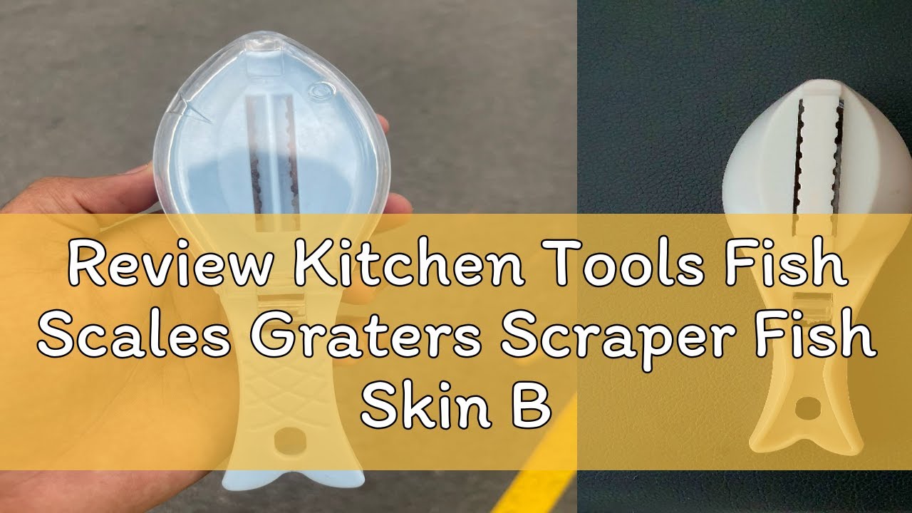 Review Kitchen Tools Fish Scales Graters Scraper Fish Skin Brush Practical Fish Scale Remover Scale