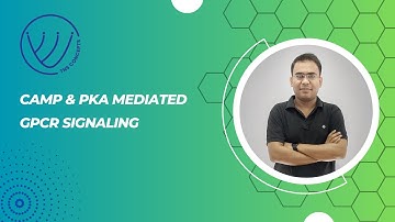 cAMP and Protein Kinase A mediated GPCR signaling By NILESH SONI