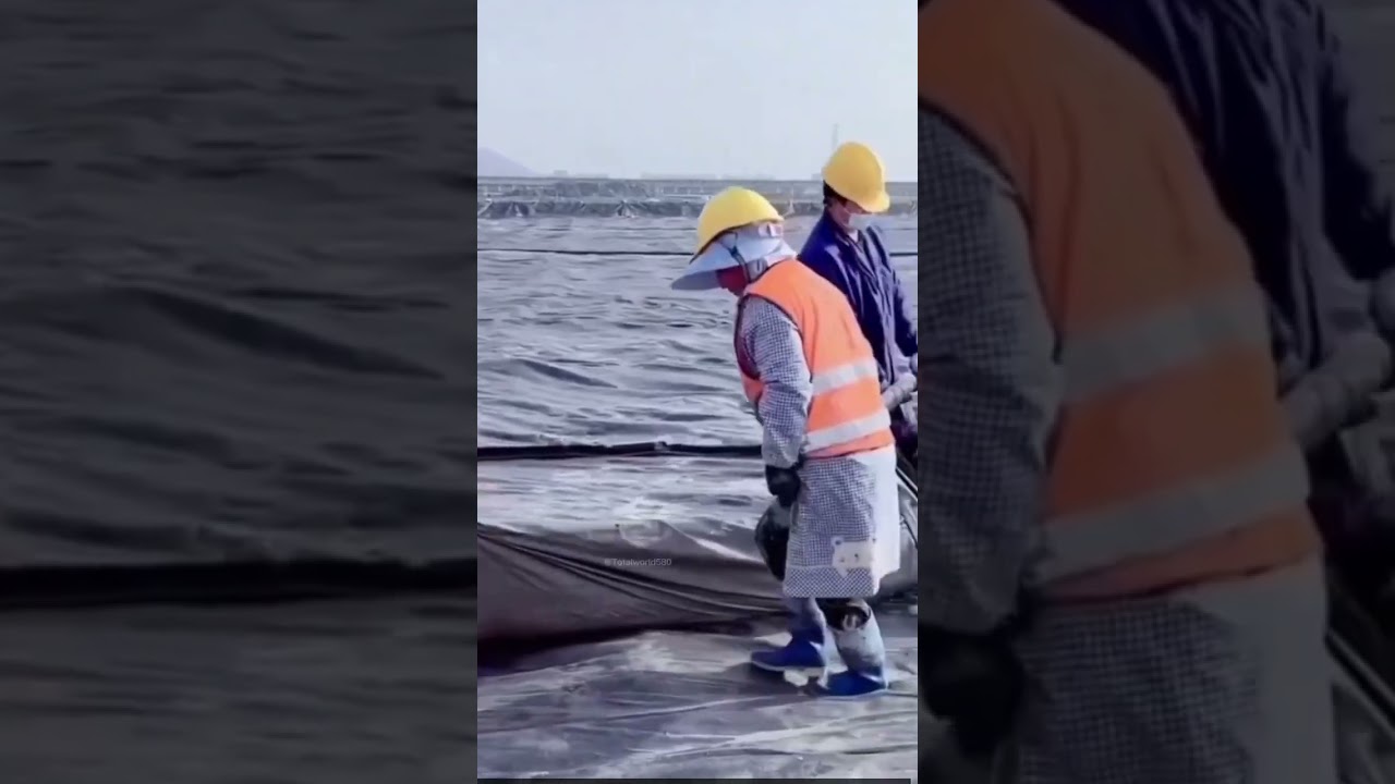 China's Unusual Rat Farming Practice