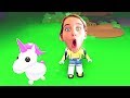 WHICH NORRIS NUT FINDS THE RAREST PET in Roblox Gaming w/ The Norris Nuts