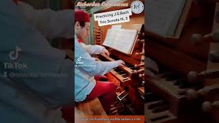 Practicing J. S. Bach Trio Sonata In D Minor, N. 3 Vivace