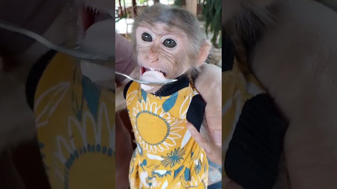 mymy. drink strawberry smoothie