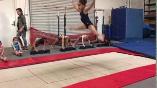 Recreational Level 1 Trampoline