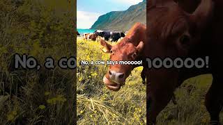 🤣🐄Cow says, Who? 😂😂 Funny Knock Knock jokes #jokes #knockknock #funny #laugh #lol #shorts #oneliner