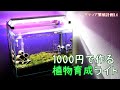 スペクトル不足解消の為に1000円で植物育成ライトを作る。【アクアリウム】