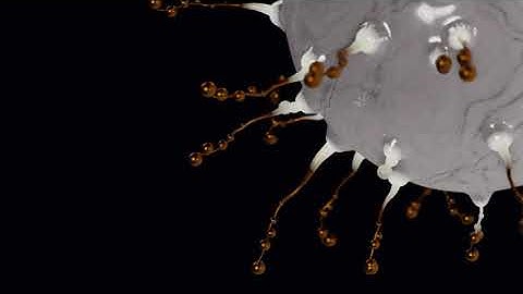 blender 3.0 geometry nodes growth alembic project