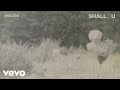 Shallou - Endless (Audio) ft. The Knocks