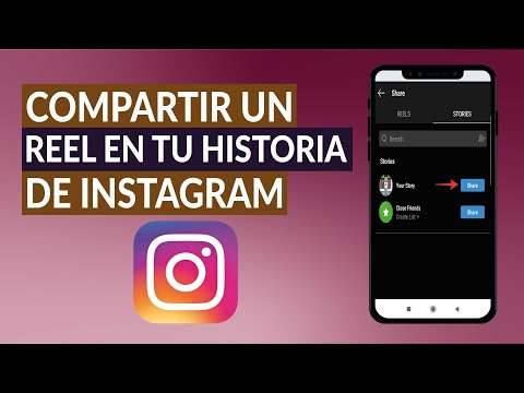 ¿Cómo Compartir un Reel en tu Storie de Instagram? - Descarga y Comparte