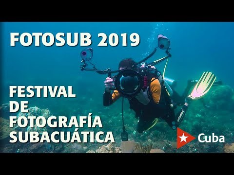 Vídeo: Ganadores Del Concurso De Fotografía Subacuática De La Revista Scuba Diving