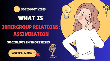 Assimilation: What are Patterns of Intergroup Relations?| Intro to Sociology | Race & Ethnicity |
