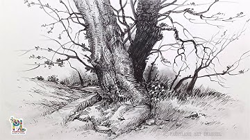How to draw Tree in Nature with Pen and Pencil Art | Easy Pen Drawing Art | Forest Trees Art