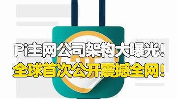 Pi Network：Pi公司架构大曝光！全球首次公开震撼全网！