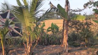 EASTER IN BELLE PLAIN WAKENAAM GUYANA