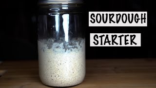 How To Make a Perfect Sourdough Starter - The FoodSpot