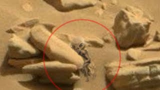 NASA Mars Perseverance Rover Sent Latest Mars Video || Mars 4k Video : Sol 1193