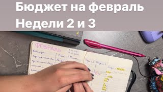 бюджет на февраль | итоги 2-ой и 3-ей недели | пока не очень