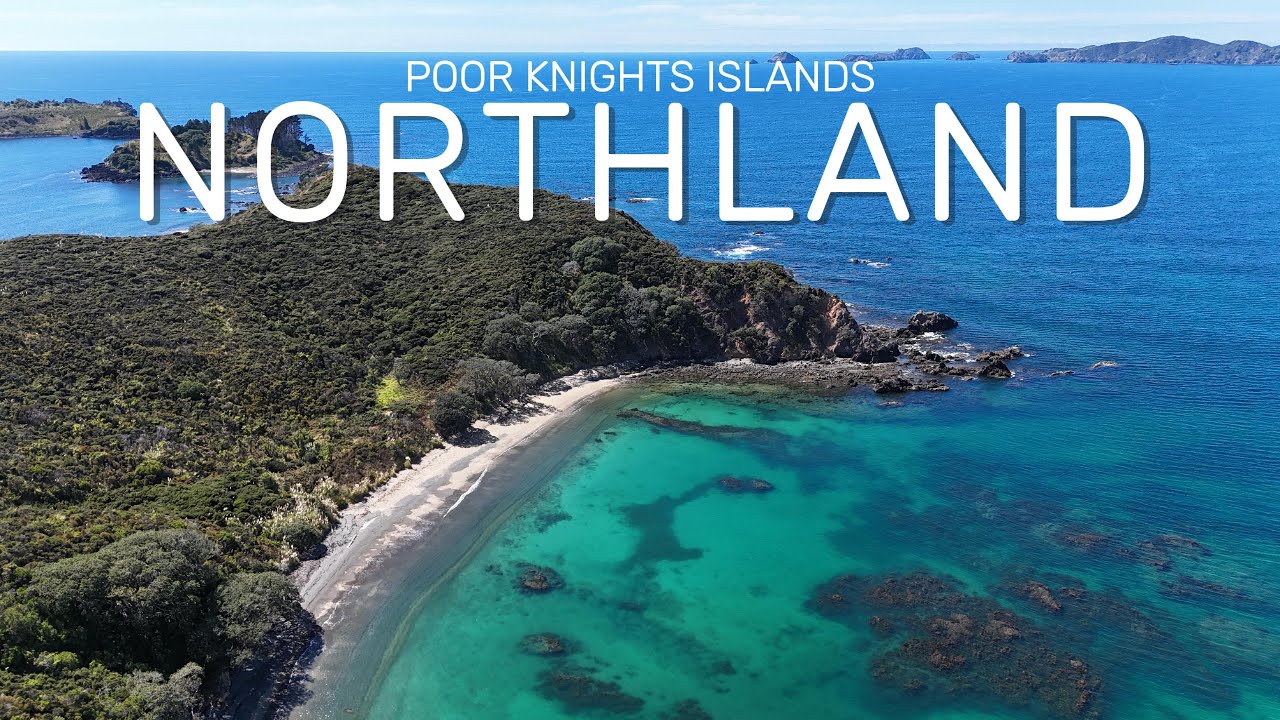 Diving The Poor Knights Islands | Marine Reserve | North island