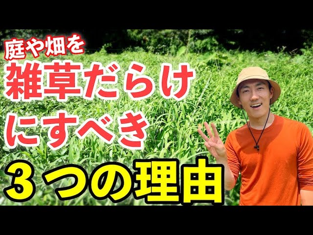 堂々と庭や畑を雑草だらけにするべき３つの理由 雑草対策 Youtube