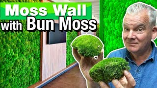 How to Make a Moss Wall with Bun Moss