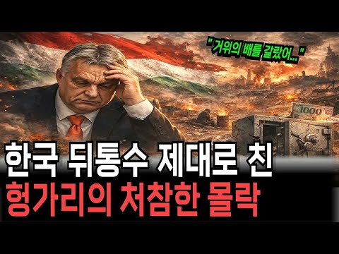 한국이 공장까지 지어줬는데… 헝가리의 배신, EU가 손절한 뒤 경제가 무너진 이유