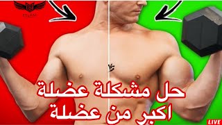 عضلة اكبر من عضلة | الحل النهائي