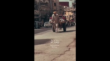 Сура Аль-Анкабут аят 62 #quran #коран سوره العنكبوت ايه 62 #قرآن #قران_كريم_راحه_نفسيه #قران_كريم