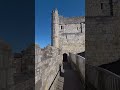 york #explore #travel #sun #shorts #fyp #viral #outdoors #yorkshire #york #history #spring #walk #me