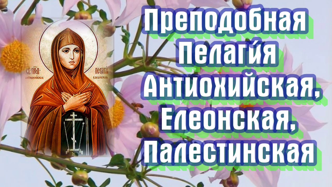 Трифон И Пелагея 21 Октября Картинки Поздравления