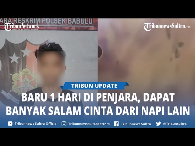 Video Viral Kondisi Pelaku Pembunuhan 1 Keluarga di Babulu Berubah Ungu, Disiksa Napi di Penjara class=