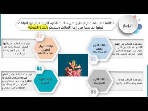 هل إزهار النبات يعتمد على فترة الضوء أم فترة الظلام