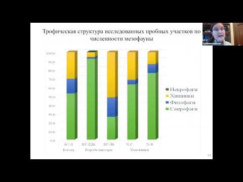 Почвенные беспозвоночные древесных насаждений и рекреация (на примере окрестностей МГУ)