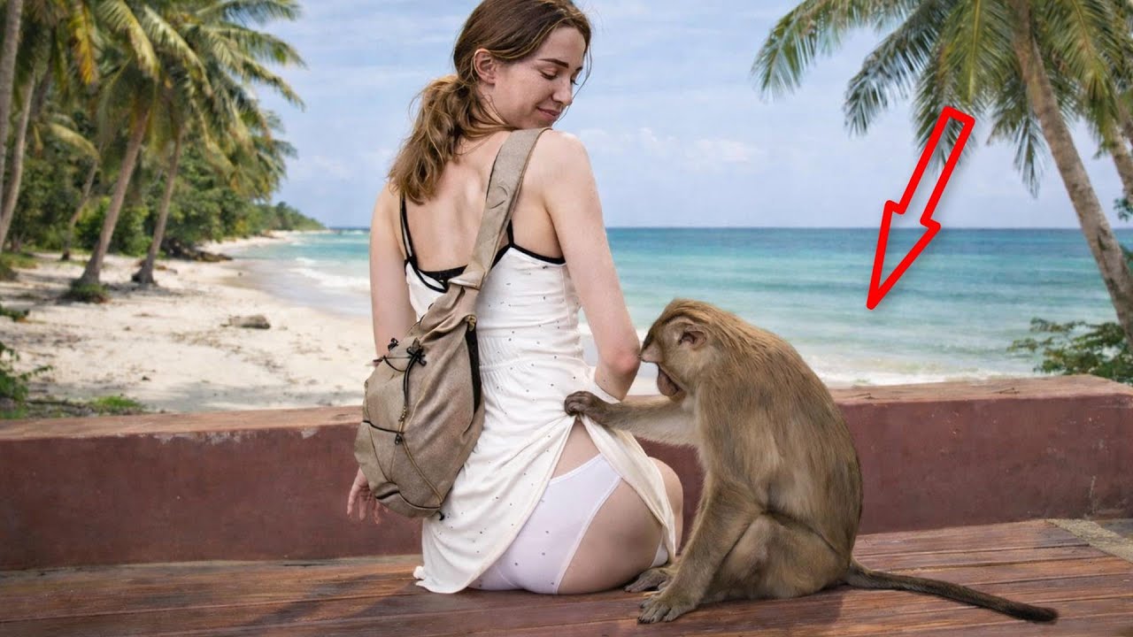 😂 СМЕШНЫЕ ВИДЕО: Знаменитые комедийные клипы с миллионами просмотров классика часть 14